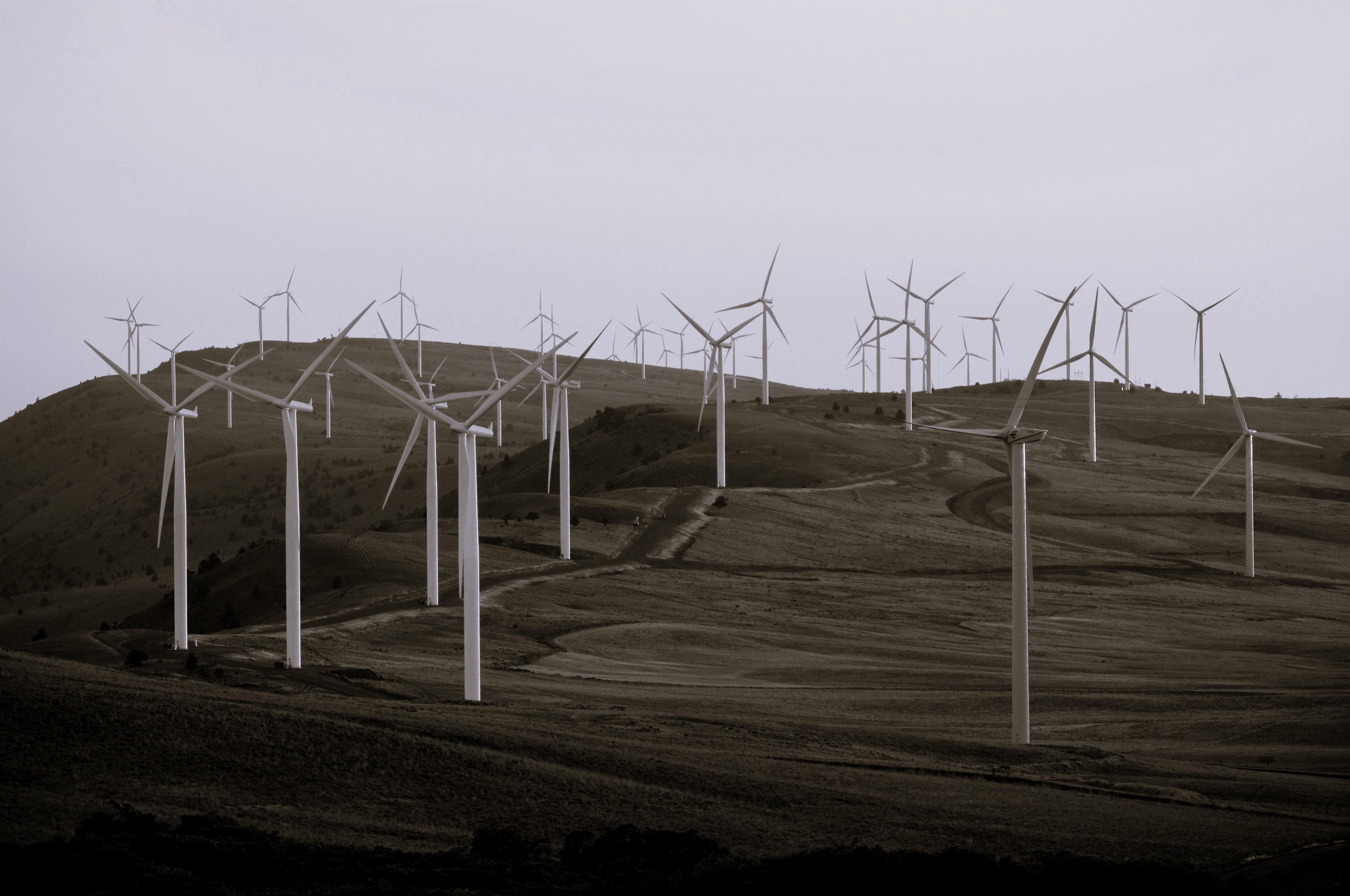 Eni Project